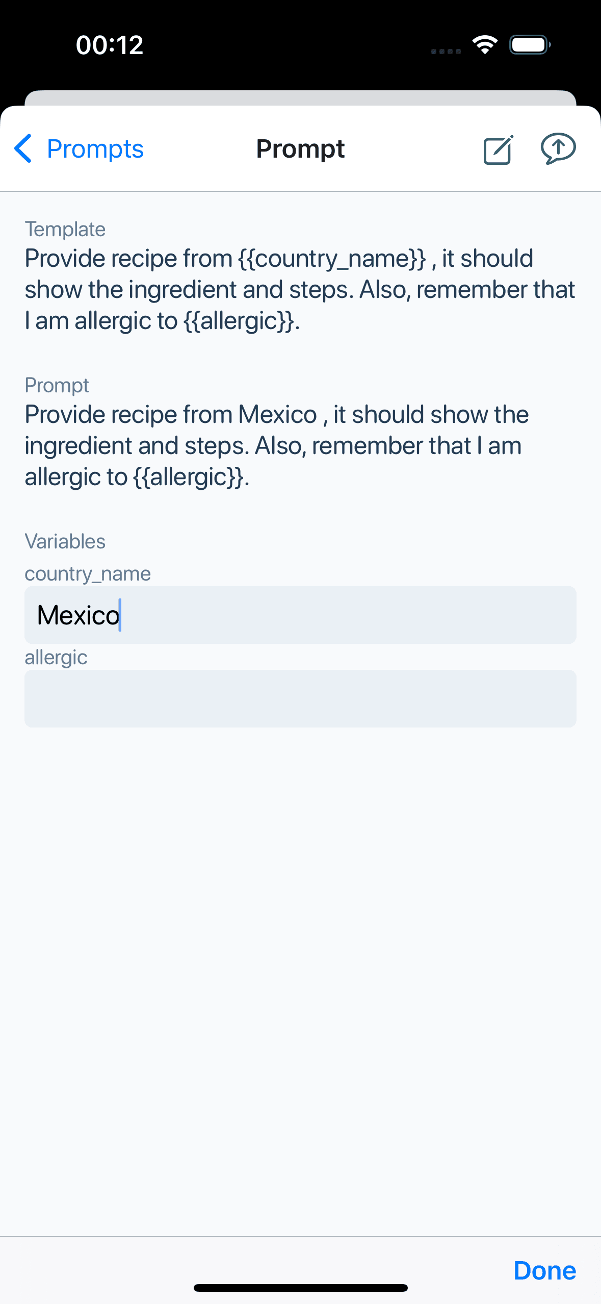 Feature Dynamic Prompt